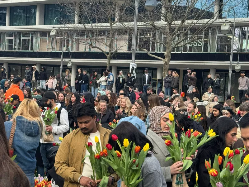 WhatsApp Image 2026-03-14 at 15.52.251773504439.webp